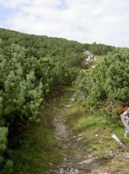 Moderne Erlebnispädagogik